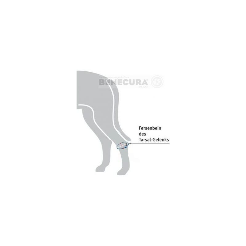 BENECURA®Tarsal-Gelenk-Bandage für Hunde 14 - 16 cm 165°