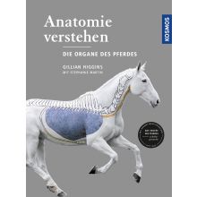 Anatomie verstehen - Die Organe des Pferdes - Higgins