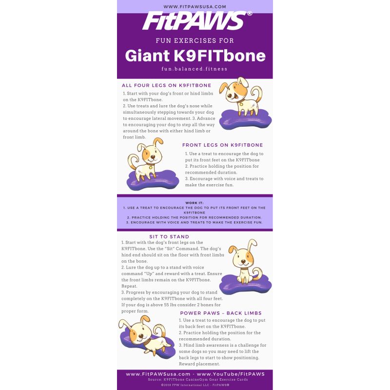 FitPAWS Fitbone - Balancierkissen GIANT violett
