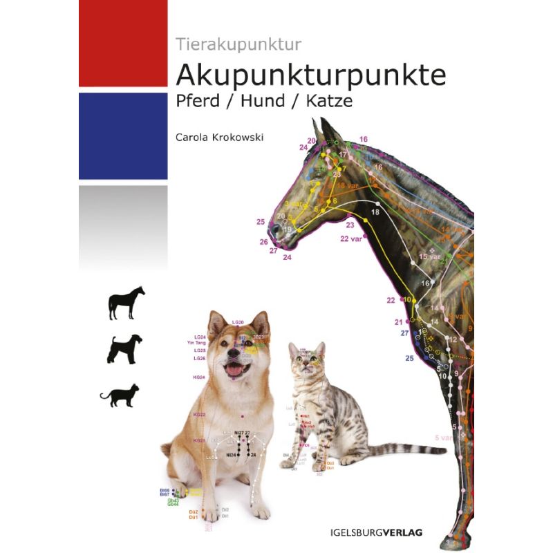 Akupunkturpunkte Pferd/Hund/Katze, Carola Krokowski
