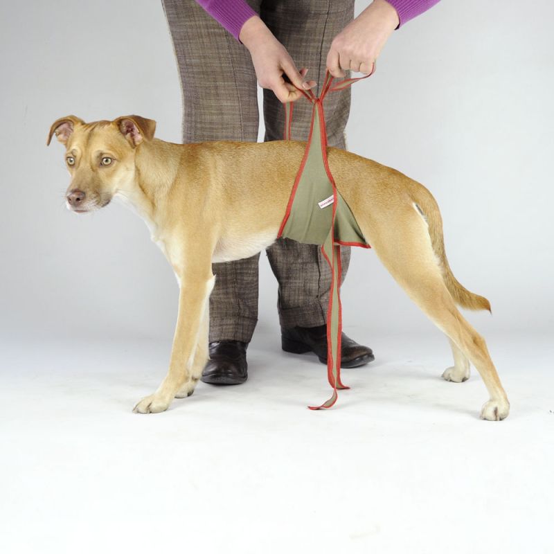 piccobello Hundewindel für Rüden für große Rüden - 25 kg bis 60 kg