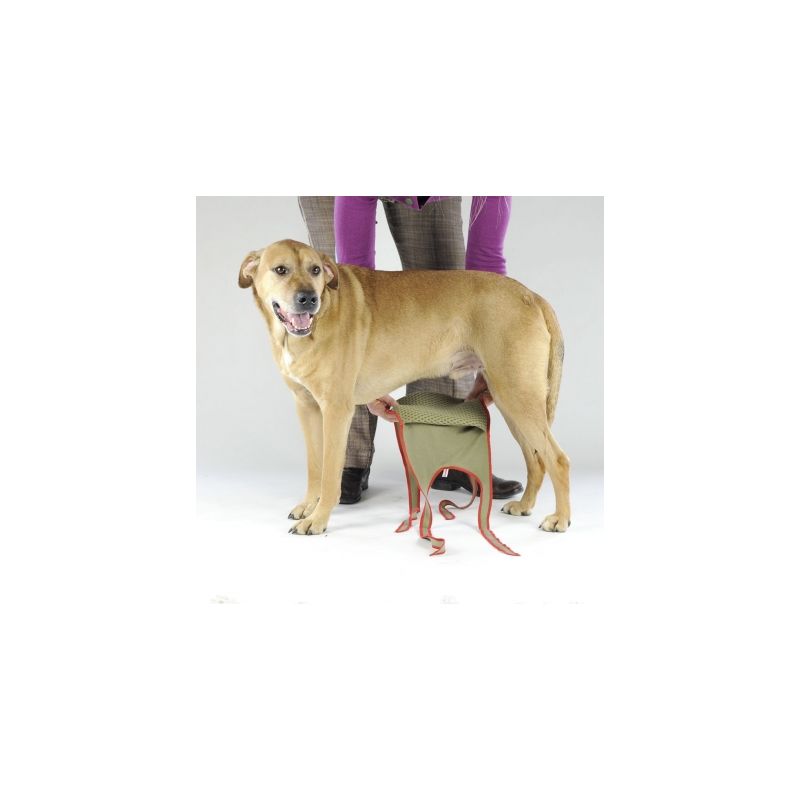 piccobello Hundewindel für Rüden für große Rüden - 25 kg bis 60 kg