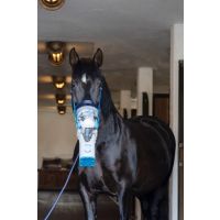 Air one FLEX - Ultraschall-Inhalator für Pferde