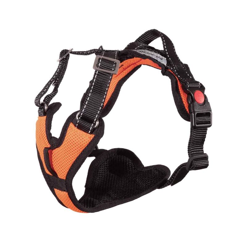 Sledwork Mountain Pro Harness XL schwarz