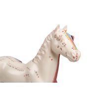 Akupunktur-Modell Pferd