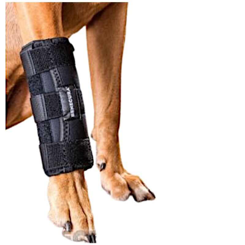 BENECURA® Karpal-Gelenkbandage für Hunde - mit Schienen S 6 - 9 cm normale Höhe links
