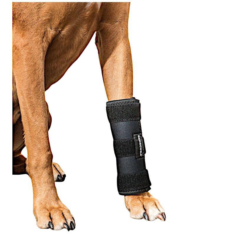 BENECURA® Karpal-Gelenkbandage für Hunde XL 15 - 18 cm kurze Höhe