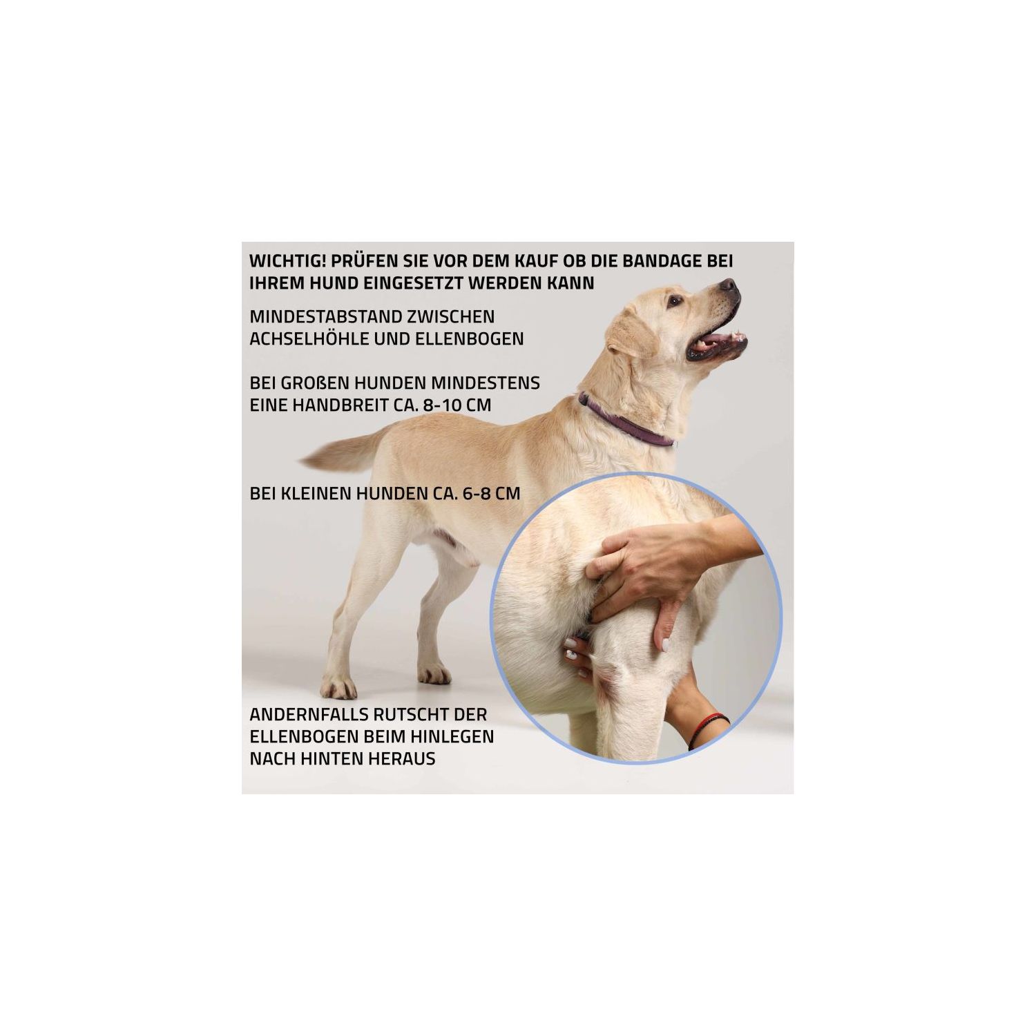Hundebandagen Shop - Orthopädische Hilfsmittel für