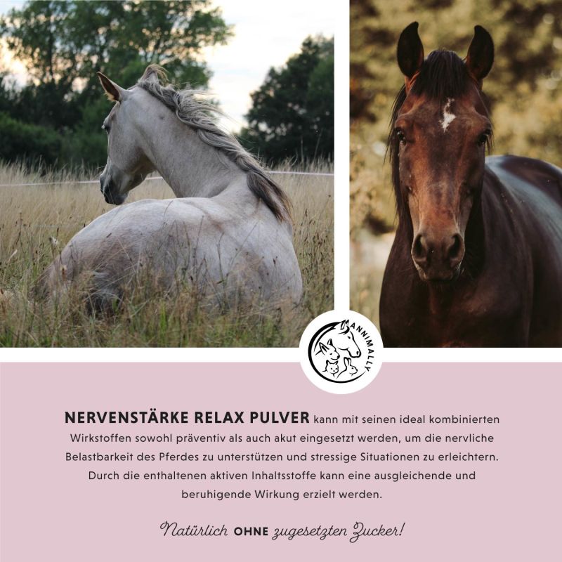 Annimally Nervenstärke Relax Pulver - Beruhigung für Pferde