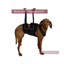 Benecura ® Tragegeschirr für Hunde