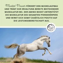 Annimally Muskelpower - Muskelaufbau für Pferde