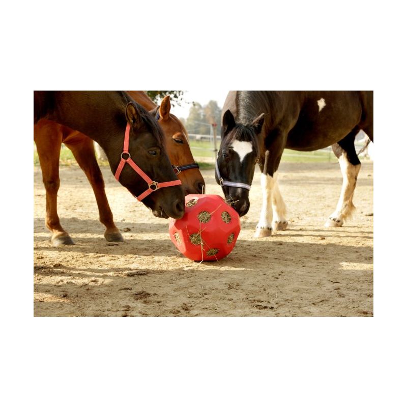 Kerbl Futterspielball für Pferde