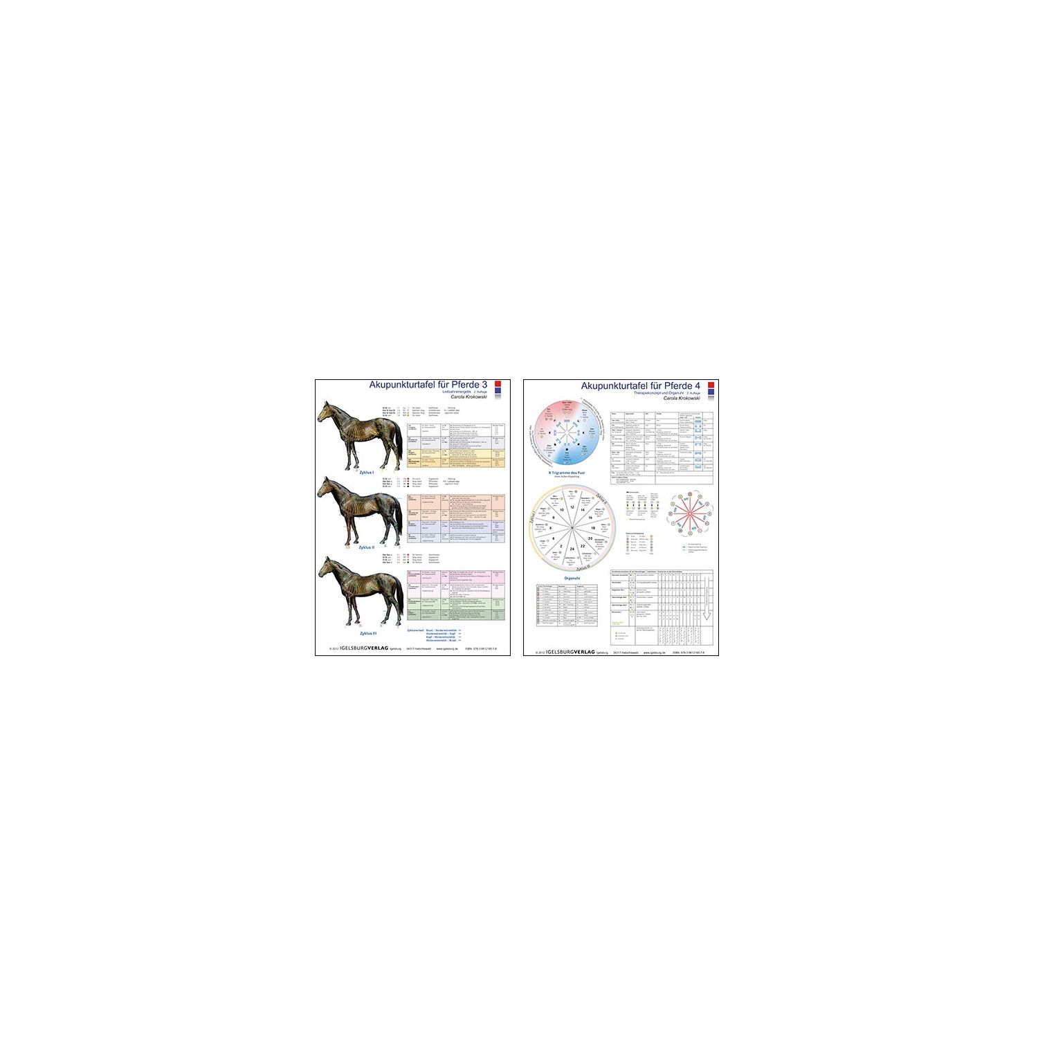Pferd Akupunktur Mit 114 Akupunkturpunkten Anatomisches Modell für 