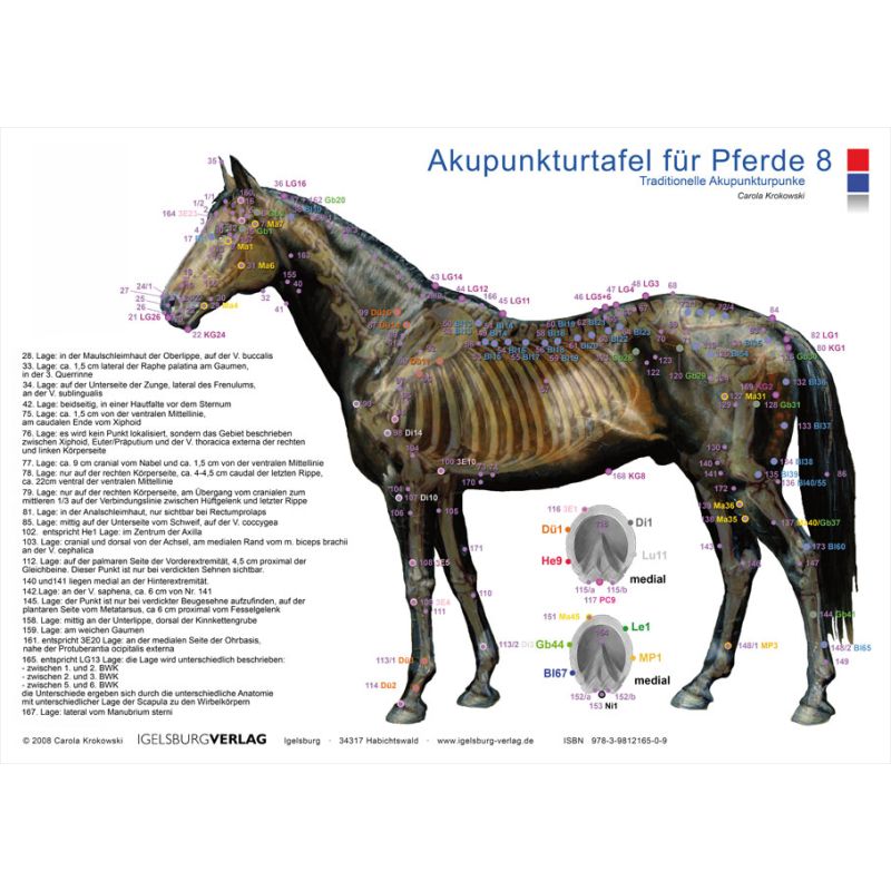 Akupunkturtafel Pferd 8, Carola Krokowski