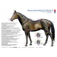 Akupunkturtafel Pferd 8, Carola Krokowski
