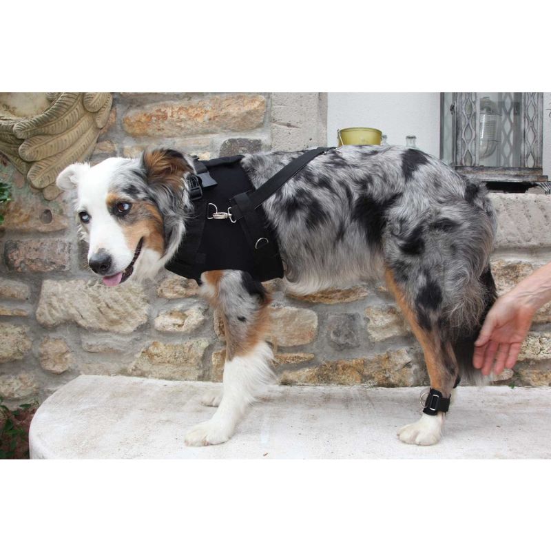 Nature Pet -  FlexiPander für Hunde XL