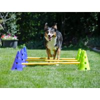 FitPAWS CanineGym® Dog Agility Kit
