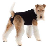 OP-Body für Hunde - Suitical Recovery Suit