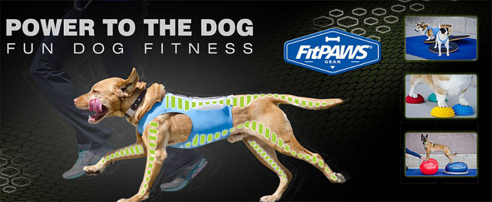 FitPAWS - Trainingsgeräte für Hunde